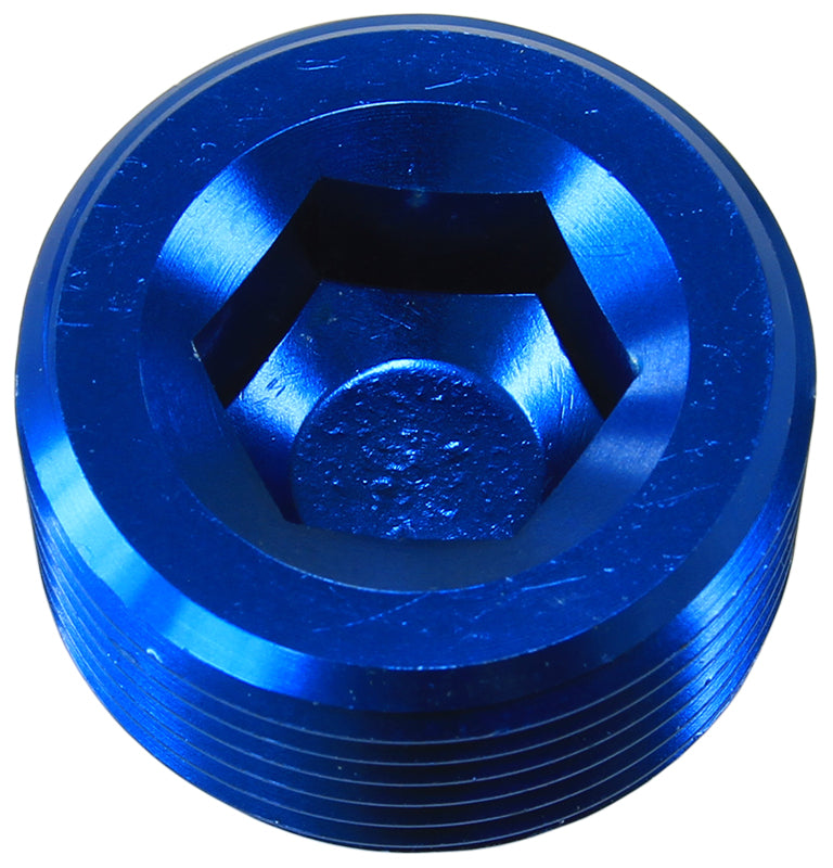 NPT PLUG 1/4" BLUE 1/4" NPT