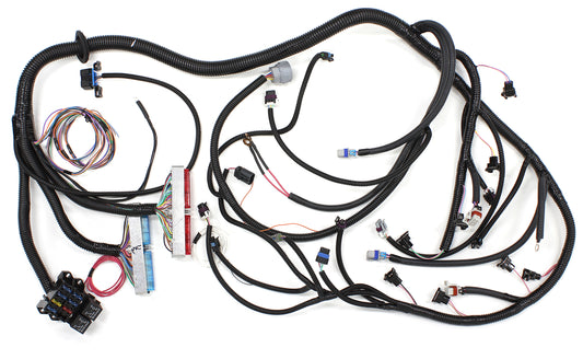 LS1 4L60 STANDALONE WIRING    HARNESS LOOM 4L60E TRANS