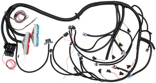 LS1 STANDALONE WIRING LOOM    HARNESS SUITS MANUAL TRANS