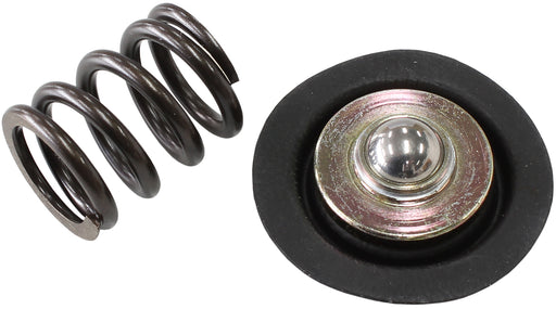 AF66-2058 REPLACEMENT DIAPHRAGAND SPRING  ASSEMBLY