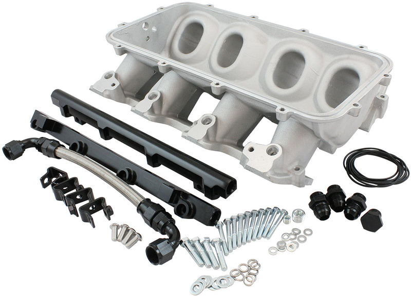 LOW RISE EFI GM LS BASE INTAKEMODULAR MANIFOLD CATHEDRAL    PORT NATURAL AF 6079-5001