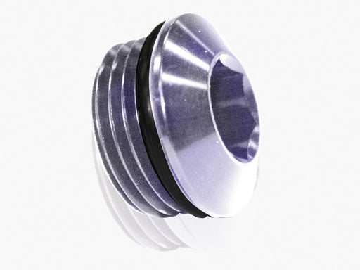 ORB SLIMLINE PORT PLUG -10AN  SILVER FINISH