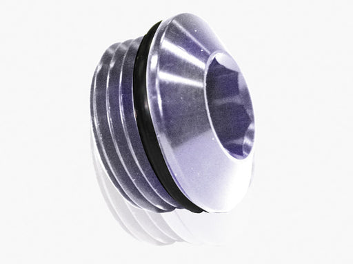 ORB SLIMLINE PORT PLUG -20AN  SILVER FINISH