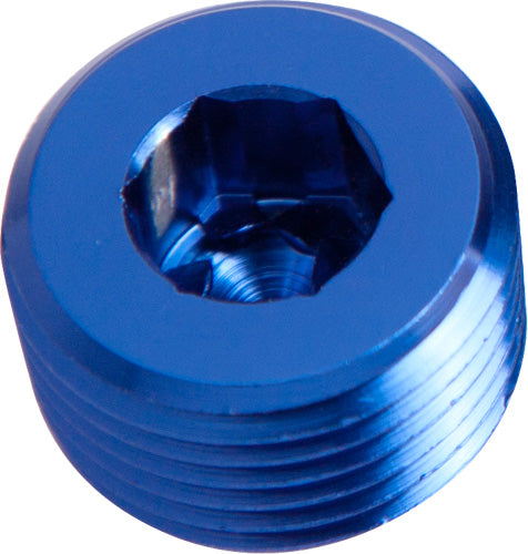 NPT PLUG 1/16"                BLUE 1/16" NPT Default Title