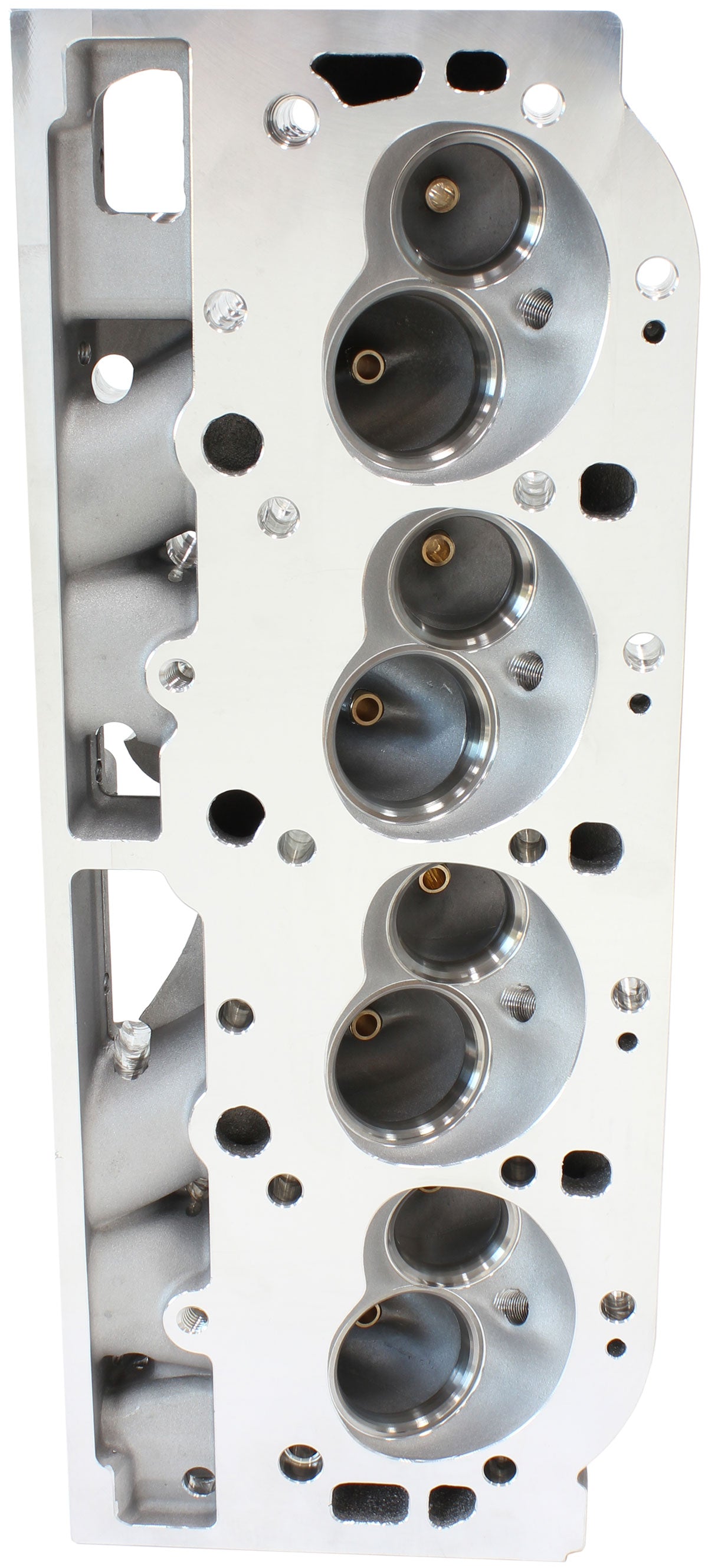 FUEL CELL FITTING -12AN BLUE FUEL CELL BULKHEAD FITT – SpeedSpec
